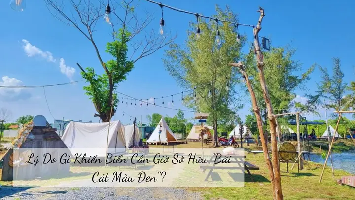 Bãi Biển 30/4 Cần Giờ: Địa Điểm Du Lịch Biển Gần Tp.hcm Lý Tưởng Cho Cuối Tuần 20 Bãi Biển 30/4 Cần Giờ: Địa Điểm Du Lịch Biển Gần Tp.hcm Lý Tưởng Cho Cuối Tuần