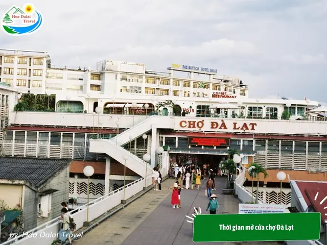 Chợ Đà Lạt Ở Đường Nào? Ăn Gì, Mua Gì, Giờ Mở Cửa & Kinh Nghiệm Chơi Không Bị Hớ