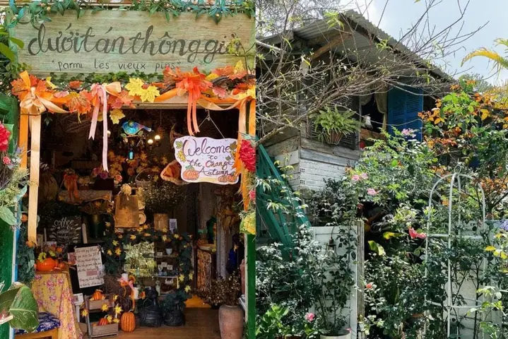 Top 20+ Quán Cà Phê Đà Lạt Đẹp Lung Linh, Check-in Chill & Đánh Giá Cao Nhất 2024