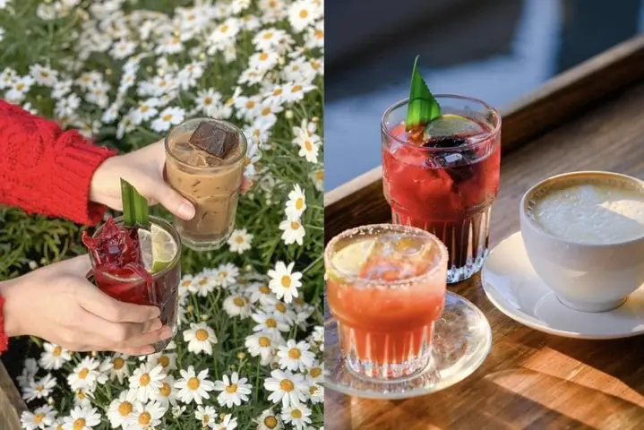 Top 20+ Quán Cà Phê Đà Lạt Đẹp Lung Linh, Check-in Chill & Đánh Giá Cao Nhất 2024