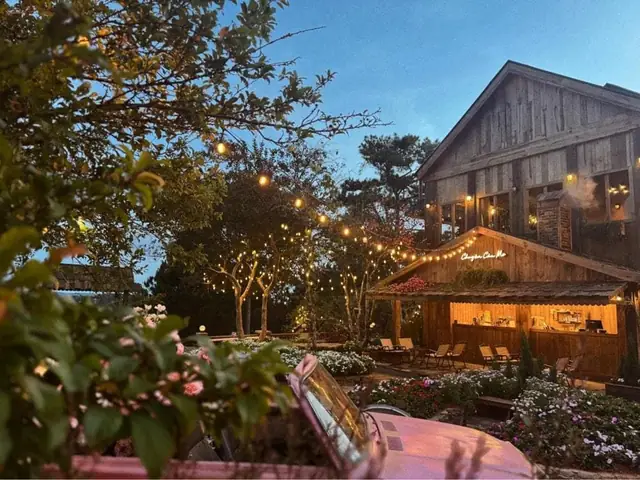 Top 20+ Quán Cà Phê Đà Lạt Đẹp Lung Linh, Check-in Chill & Đánh Giá Cao Nhất 2024