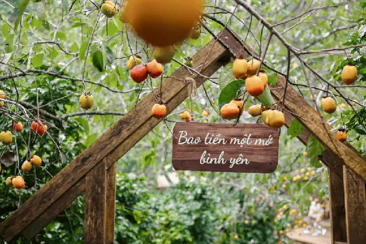 Top 20+ Quán Cà Phê Đà Lạt Đẹp Lung Linh, Check-in Chill & Đánh Giá Cao Nhất 2024