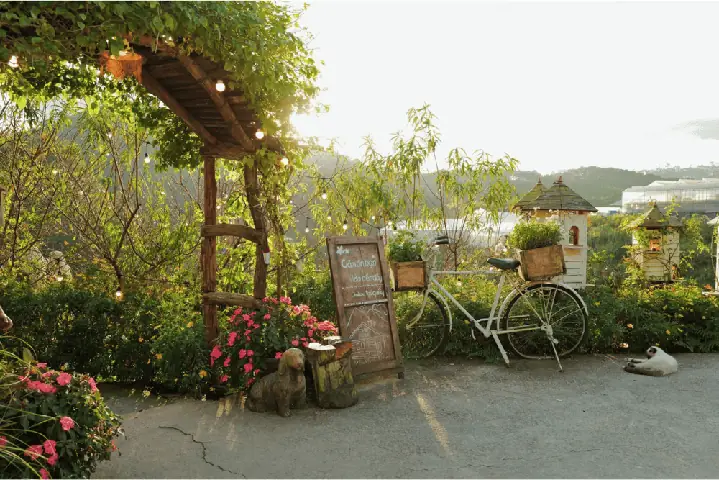 Top 20+ Quán Cà Phê Đà Lạt Đẹp Lung Linh, Check-in Chill & Đánh Giá Cao Nhất 2024