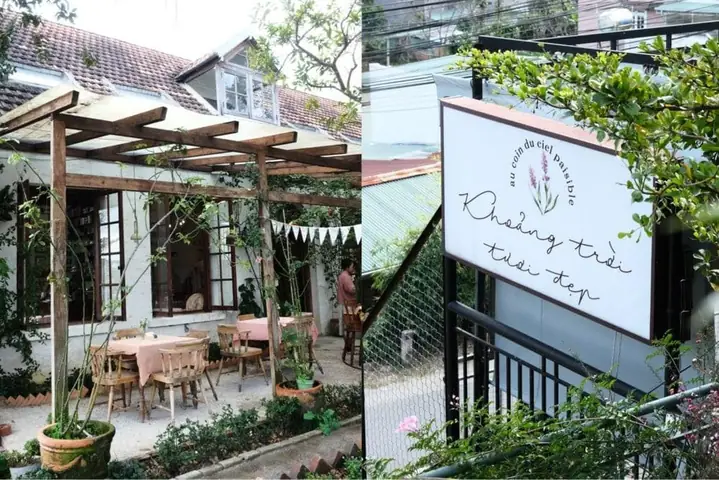 Top 20+ Quán Cà Phê Đà Lạt Đẹp Lung Linh, Check-in Chill & Đánh Giá Cao Nhất 2024