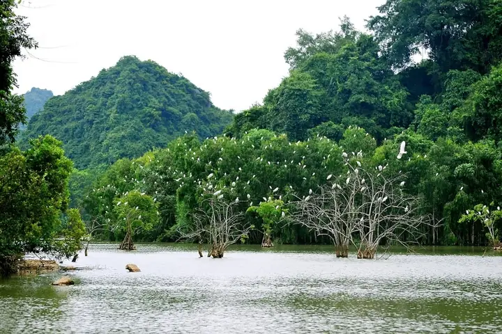 Top 16 Địa Điểm Tham Quan Ninh Bình Đẹp Nhất Không Thể Bỏ Qua 2026 Top 16 Địa Điểm Tham Quan Ninh Bình Đẹp Nhất Không Thể Bỏ Qua 2026