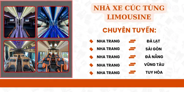 Sđt Xe Cúc Tùng Vũng Tàu Nha Trang: Thông Tin Nhà Xe Chi Tiết Nhất 2026 59 Sđt Xe Cúc Tùng Vũng Tàu Nha Trang: Thông Tin Nhà Xe Chi Tiết Nhất 2026