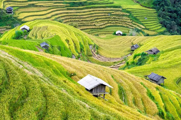 Kinh Nghiệm Du Lịch Thành Phố Hòa Bình: Top 10+ Điểm Chơi Hấp Dẫn & Đặc Sản Ăn Ngon Phải Thử