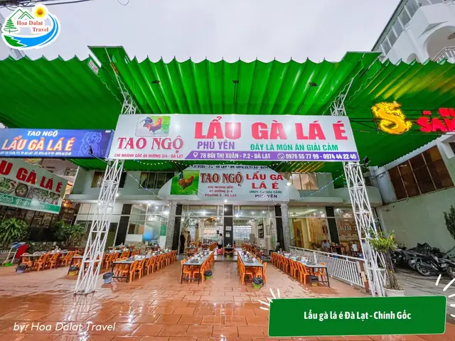 Lẩu Gà Lá É Tao Ngộ Đà Lạt: Địa Chỉ Số 5 Đường 3/4 Ngon Chuẩn Vị Gốc 62 Lẩu Gà Lá É Tao Ngộ Đà Lạt: Địa Chỉ Số 5 Đường 3/4 Ngon Chuẩn Vị Gốc