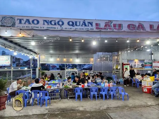 Lẩu Gà Lá É Tao Ngộ Đà Lạt: Địa Chỉ Số 5 Đường 3/4 Ngon Chuẩn Vị Gốc