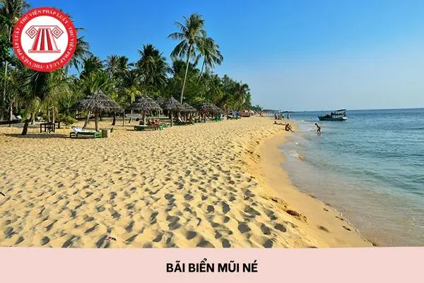 Bãi Biển Đồi Dương Phan Thiết: Vị Trí, Chơi Gì Và Kinh Nghiệm Du Lịch Bãi Biển Đồi Dương Phan Thiết: Vị Trí, Chơi Gì Và Kinh Nghiệm Du Lịch