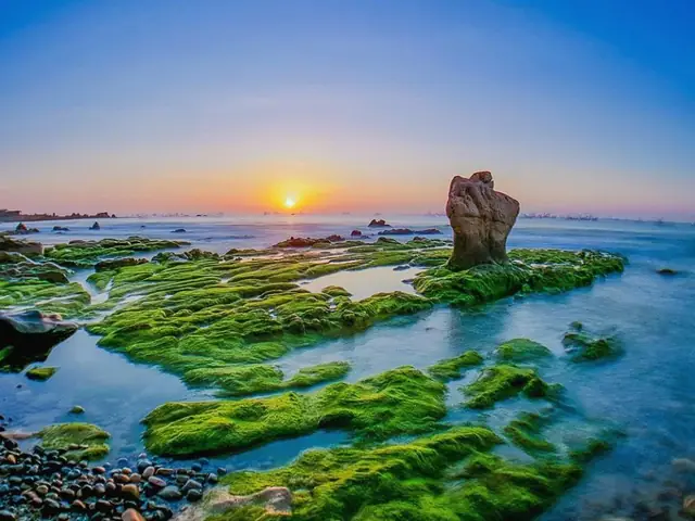 Bãi Đá Bảy Màu Phan Thiết: Khám Phá Vẻ Đẹp Độc Đáo Của Quần Thể Đá Cổ Thạch Tuy Phong