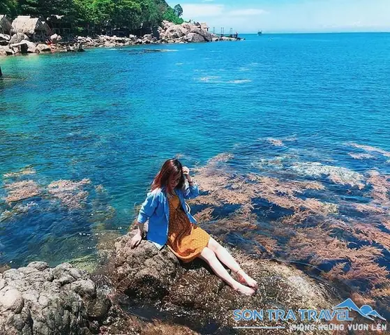 Khám Phá Bãi Đá Sơn Trà Đà Nẵng: Địa Điểm “chill” Hấp Dẫn Cho Dân Du Lịch