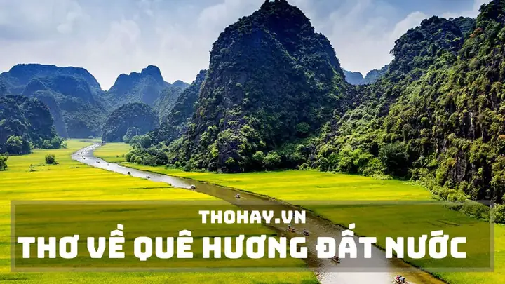 Tuyển Tập Thơ Hay Về Rừng Tràm Trà Sư An Giang Đầy Cảm Xúc