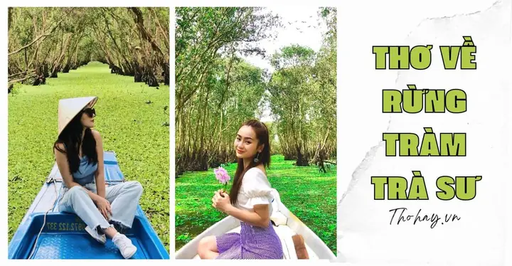 Tuyển Tập Thơ Hay Về Rừng Tràm Trà Sư An Giang Đầy Cảm Xúc