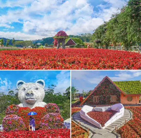 Bạn Có Thể Làm Gì Ở Đà Lạt: Khám Phá Trải Nghiệm Độc Đáo Từ Thiên Nhiên Đến Ẩm Thực Bạn Có Thể Làm Gì Ở Đà Lạt: Khám Phá Trải Nghiệm Độc Đáo Từ Thiên Nhiên Đến Ẩm Thực
