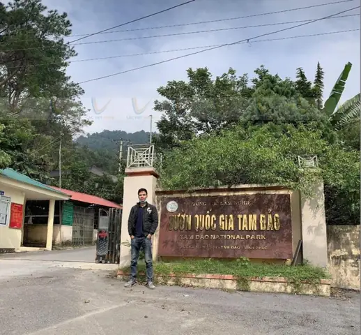 Quản Lý Vườn Quốc Gia Tam Đảo: Cơ Quan, Chức Năng Và Các Quy Định Mới Nhất Quản Lý Vườn Quốc Gia Tam Đảo: Cơ Quan, Chức Năng Và Các Quy Định Mới Nhất