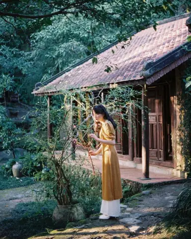 Bảo Tàng Đồng Đình Đà Nẵng: Kinh Nghiệm Tham Quan, Giá Vé & Địa Điểm Hấp Dẫn 2024