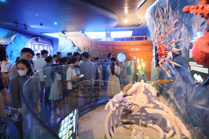 Bảo Tàng Hải Dương Học Vũng Tàu: Khám Phá Thế Giới Biển Kỳ Thú - Địa Điểm, Giá Vé, Giờ Mở Cửa
