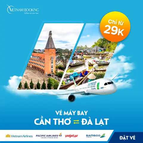 Bay Từ Cần Thơ Đi Đà Lạt: Thông Tin Chuyến Bay, Giá Vé & Lịch Trình Mới Nhất