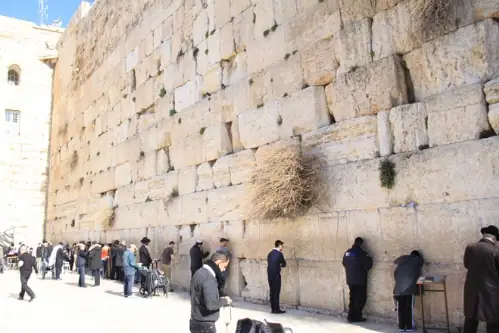 Bức Tường Than Khóc Jerusalem: Ý Nghĩa, Lịch Sử Và Kinh Nghiệm Thăm Quan 97 Bức Tường Than Khóc Jerusalem: Ý Nghĩa, Lịch Sử Và Kinh Nghiệm Thăm Quan