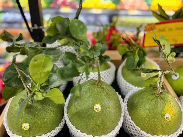 Bưởi Da Xanh Hương Miền Tây: Giá Cả, Đặc Điểm Và Địa Chỉ Mua Uy Tín