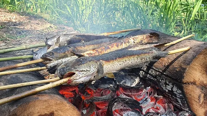 Cá Lóc Nướng Trui Miền Tây: Khám Phá Hương Vị Đặc Sắc & Cách Làm Chuẩn Vị Cá Lóc Nướng Trui Miền Tây: Khám Phá Hương Vị Đặc Sắc & Cách Làm Chuẩn Vị