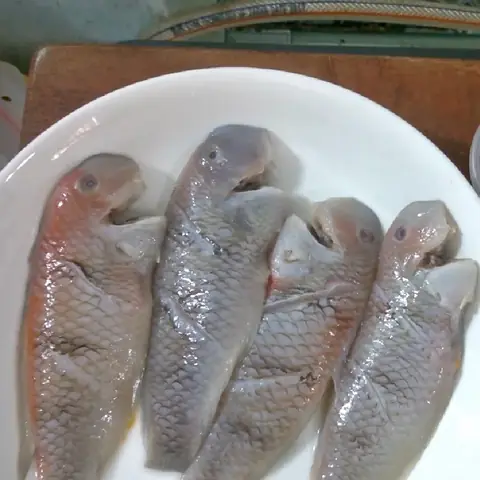 Cá Lưỡi Mèo Làm Món Gì Ngon? Hướng Dẫn Chế Biến Các Món Ngon Đậm Vị Cá Lưỡi Mèo Làm Món Gì Ngon? Hướng Dẫn Chế Biến Các Món Ngon Đậm Vị