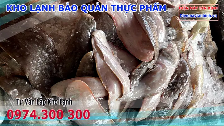 Cá Lưỡi Mèo Làm Món Gì Ngon? Hướng Dẫn Chế Biến Các Món Ngon Đậm Vị Cá Lưỡi Mèo Làm Món Gì Ngon? Hướng Dẫn Chế Biến Các Món Ngon Đậm Vị