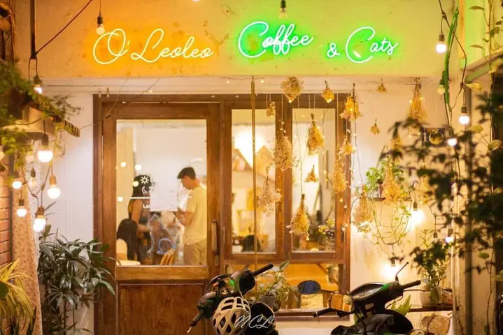 Top 10 Quán Cafe Chó Mèo Hà Nội: Khám Phá Thiên Đường "sen" Và Boss Cưng