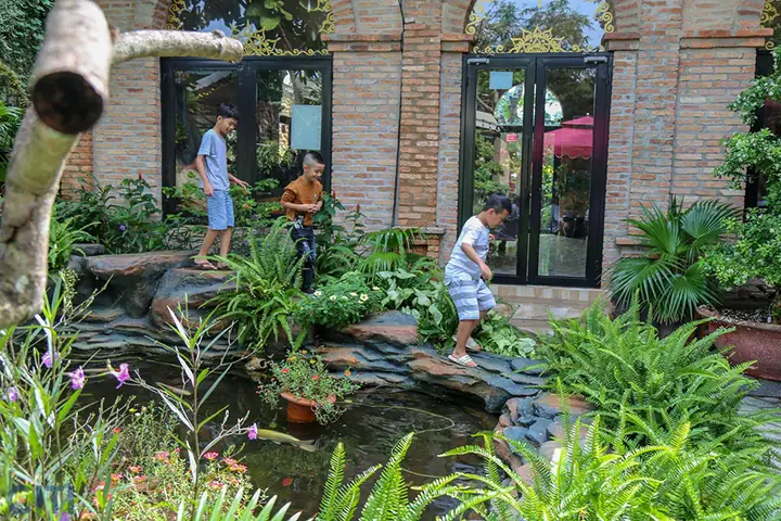 Cà Phê Ngọc Hà Tây Ninh: Khám Phá Không Gian Xanh & Review Chi Tiết