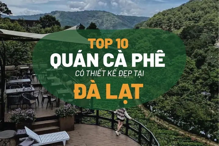 Top 25+ Quán Cafe Nổi Tiếng Đà Lạt: Check-in View Đẹp, Không Gian Chill & Độc Đáo Top 25+ Quán Cafe Nổi Tiếng Đà Lạt: Check-in View Đẹp, Không Gian Chill & Độc Đáo