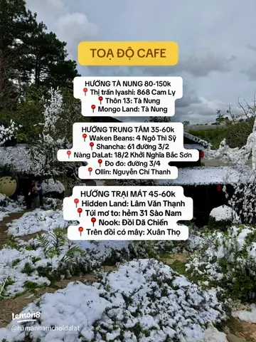 Top Quán Cà Phê View Đẹp Ở Trại Mát Đà Lạt: Khám Phá Địa Điểm Săn Mây & Hoàng Hôn