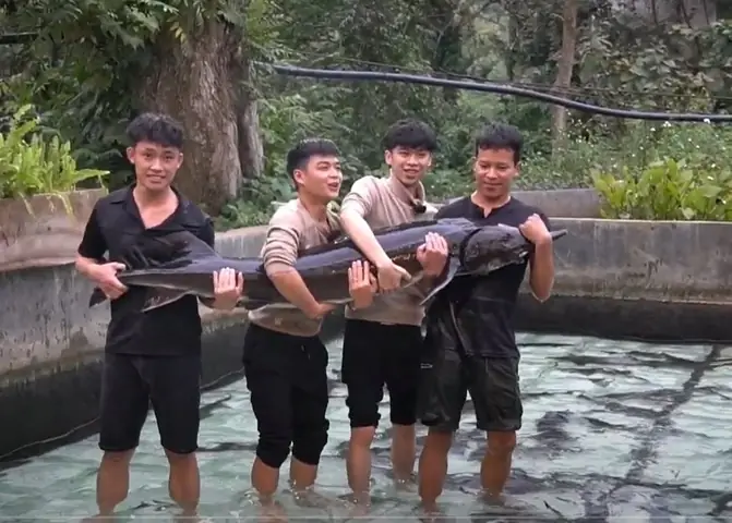 Cá Tầm Nặng Bao Nhiêu Kg: Khám Phá Kích Thước Thực Tế Các Loại Và Loài Khổng Lồ Cá Tầm Nặng Bao Nhiêu Kg: Khám Phá Kích Thước Thực Tế Các Loại Và Loài Khổng Lồ