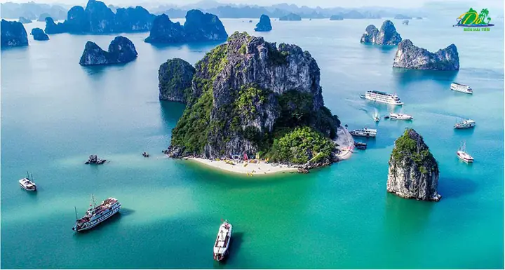 Top Các Bãi Biển Đẹp Miền Bắc: Hướng Dẫn Khám Phá Thiên Đường Nghỉ Dưỡng Top Các Bãi Biển Đẹp Miền Bắc: Hướng Dẫn Khám Phá Thiên Đường Nghỉ Dưỡng