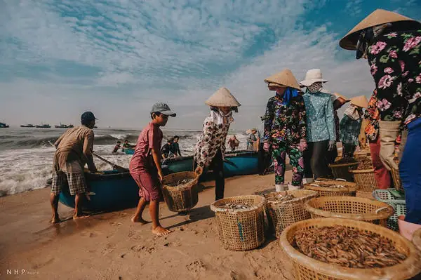 Danh Sách Các Cảng Cá Tại Vũng Tàu: Thông Tin Chi Tiết & Nổi Bật