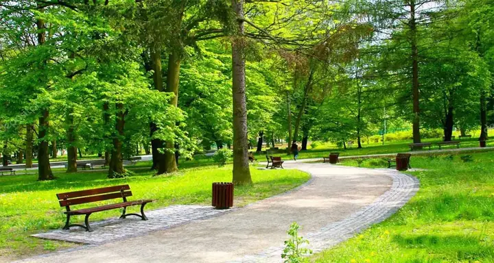 Khám Phá Công Viên Quận 12: Địa Điểm Vui Chơi, Giải Trí & Picnic Hấp Dẫn
