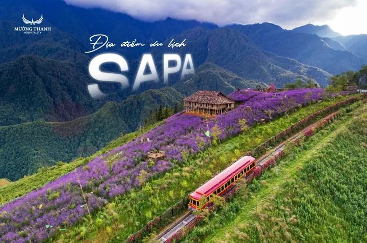 Top 20+ Địa Điểm Du Lịch Sapa Nên Đi Nhất: Khám Phá Vẻ Đẹp Núi Rừng Tây Bắc 19 Top 20+ Địa Điểm Du Lịch Sapa Nên Đi Nhất: Khám Phá Vẻ Đẹp Núi Rừng Tây Bắc
