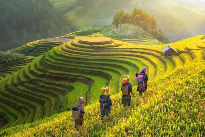 Top 20 Địa Điểm Du Lịch Sapa Nổi Tiếng Nhất Định Phải Đến | Kinh Nghiệm Chi Tiết 2026