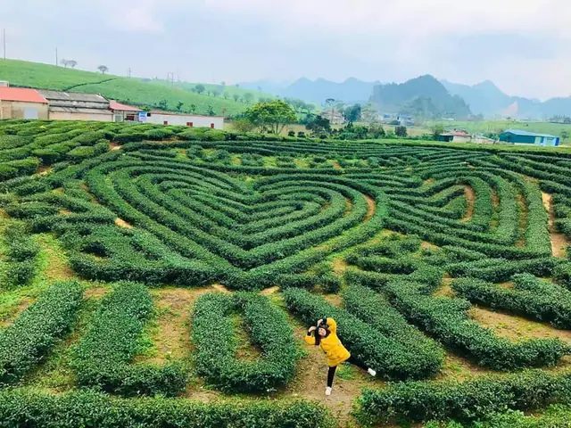 Khám Phá 15+ Địa Điểm Du Lịch Mộc Châu Đẹp Nức Tiếng, "đi Là Không Muốn Về" Khám Phá 15+ Địa Điểm Du Lịch Mộc Châu Đẹp Nức Tiếng, "đi Là Không Muốn Về"