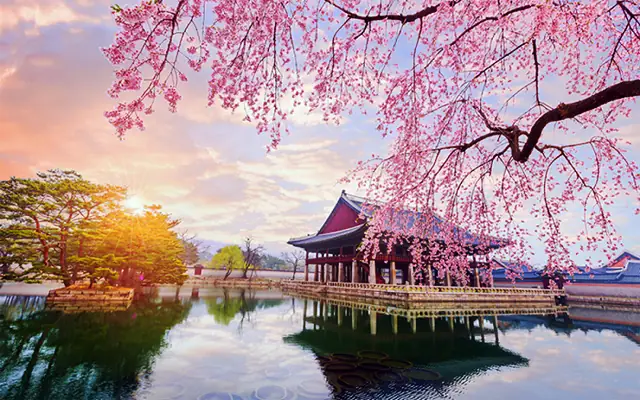 Top 10 Địa Điểm Du Lịch Hàn Quốc Hấp Dẫn Nhất: Cẩm Nang Từ A-z