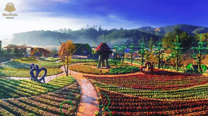 Khám Phá 10+ Làng Hoa Đà Lạt Nổi Tiếng: Địa Điểm Check-in Sắc Màu Mê Ly