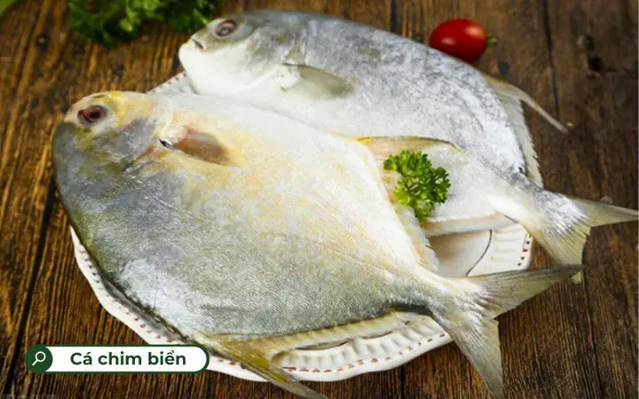 Top 10 Loại Cá Biển Hấp Ngon Tuyệt, Dễ Làm Tại Nhà 76 Top 10 Loại Cá Biển Hấp Ngon Tuyệt, Dễ Làm Tại Nhà