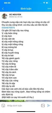 Khám Phá Các Loại Lá Rừng Ăn Được: Danh Sách, Cách Chế Biến & Lợi Ích