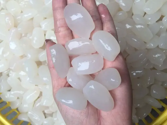 10+ Công Thức Chế Biến Hạt Đác Ngon Mát Lành, Dễ Làm Tại Nhà 10+ Công Thức Chế Biến Hạt Đác Ngon Mát Lành, Dễ Làm Tại Nhà