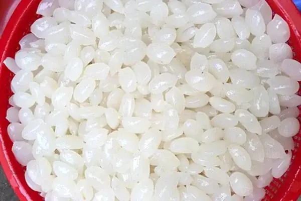 10+ Công Thức Chế Biến Hạt Đác Ngon Mát Lành, Dễ Làm Tại Nhà 10+ Công Thức Chế Biến Hạt Đác Ngon Mát Lành, Dễ Làm Tại Nhà