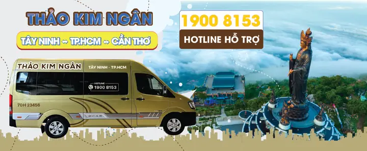 Top Các Nhà Xe Uy Tín Từ Tây Ninh Đi Các Tỉnh Phổ Biến: Lịch Trình & Giá Vé Cập Nhật Top Các Nhà Xe Uy Tín Từ Tây Ninh Đi Các Tỉnh Phổ Biến: Lịch Trình & Giá Vé Cập Nhật