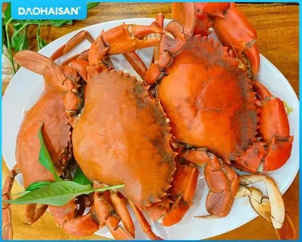 15+ Cách Chế Biến Cua Cà Mau Ngon Tại Nhà: Từ Hấp Đến Rang Me, Lẩu 15+ Cách Chế Biến Cua Cà Mau Ngon Tại Nhà: Từ Hấp Đến Rang Me, Lẩu