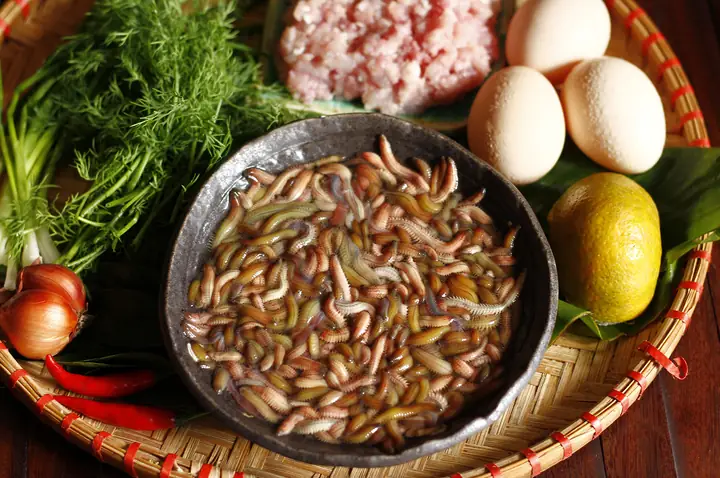 Cách Chế Biến Chả Rươi Ngon Chuẩn Vị Miền Bắc: Hướng Dẫn Chi Tiết Từ A-z Cách Chế Biến Chả Rươi Ngon Chuẩn Vị Miền Bắc: Hướng Dẫn Chi Tiết Từ A-z