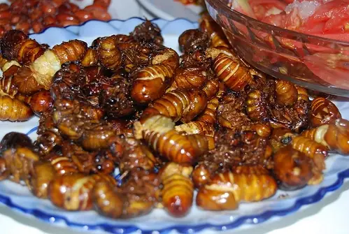 Cách Chế Biến Ve Sầu: Món Ngon Độc Đáo Từ Vùng Quê Đến Bữa Cơm Gia Đình Cách Chế Biến Ve Sầu: Món Ngon Độc Đáo Từ Vùng Quê Đến Bữa Cơm Gia Đình