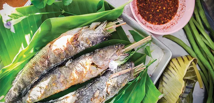 Cách Làm Cá Lóc Nướng Trui Ngon Chuẩn Vị Miền Tây: Hướng Dẫn Từ A-z